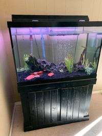 60 Gallon Fish Tank & Stand