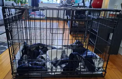 Magnifique cage pour chien neuve, View more
