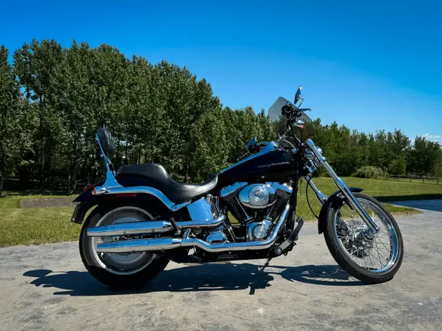 Love this Harley Deuce, even if you already have a bike. in Street, Cruisers & Choppers in Edmonton - Image 3