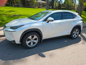 2015 Lexus NX 300h Executive