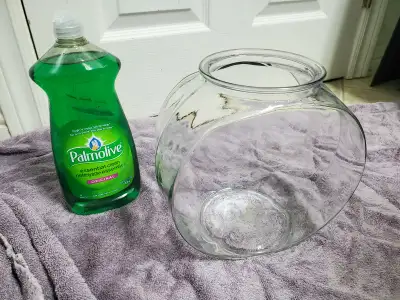 Fish bowl, View more