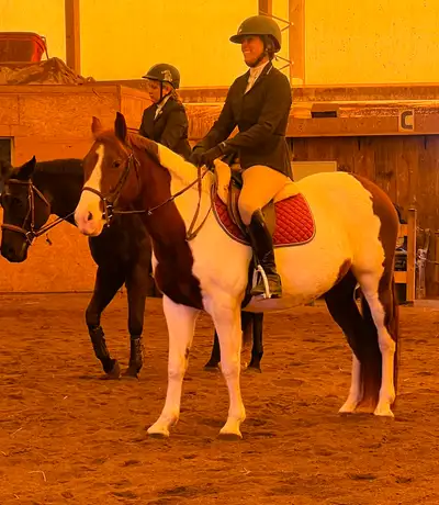 Flashy Cute Pony Mare, View more