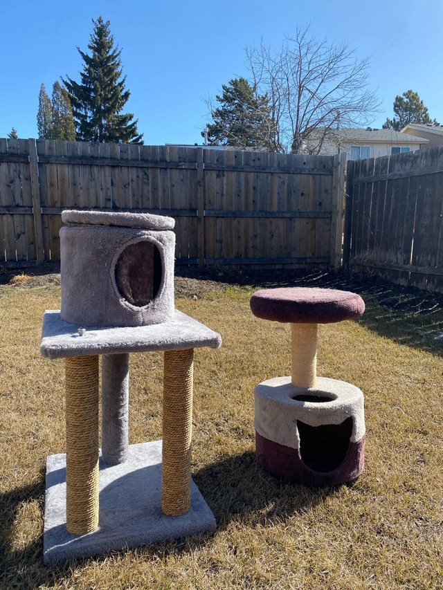 2 cat Towers/Trees in Animal & Pet Services in Edmonton