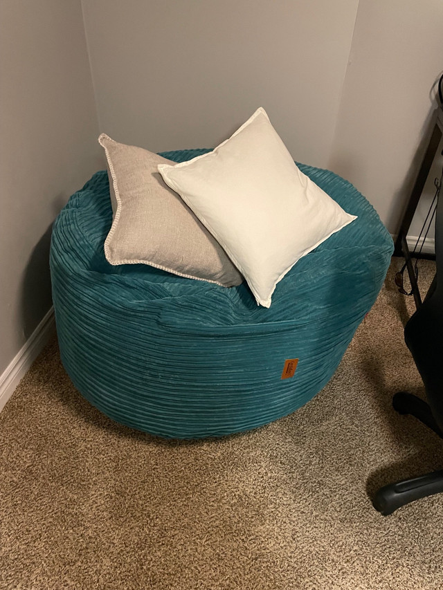 Bean bag in Couches & Futons in Kitchener / Waterloo