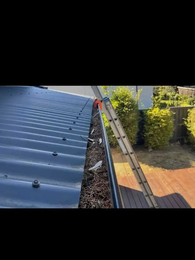 Gutter cleaning and deep cleaning488163328258232324