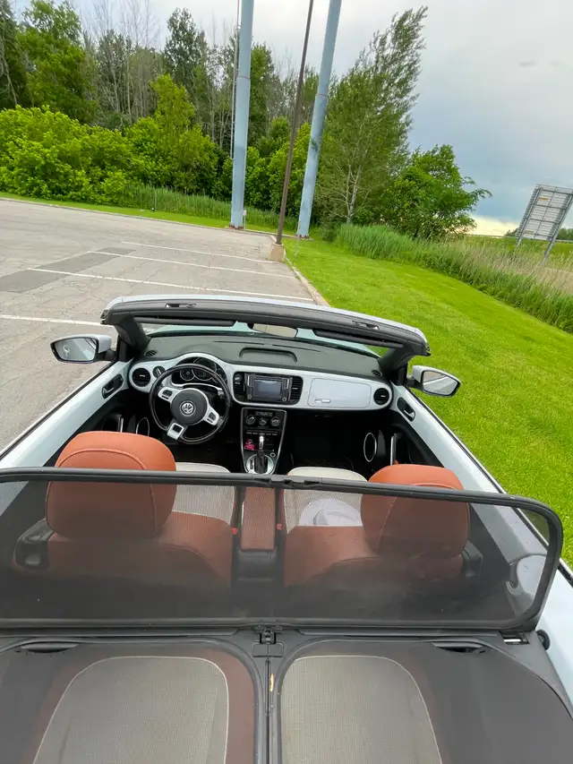 Beetle Convertible498589186529044487