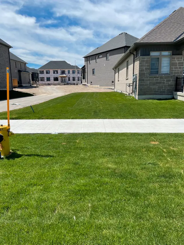 High Quality Grass Cutting and Property Maintenance in Barrie in Snow Removal & Property Maintenance in Barrie - Image 3