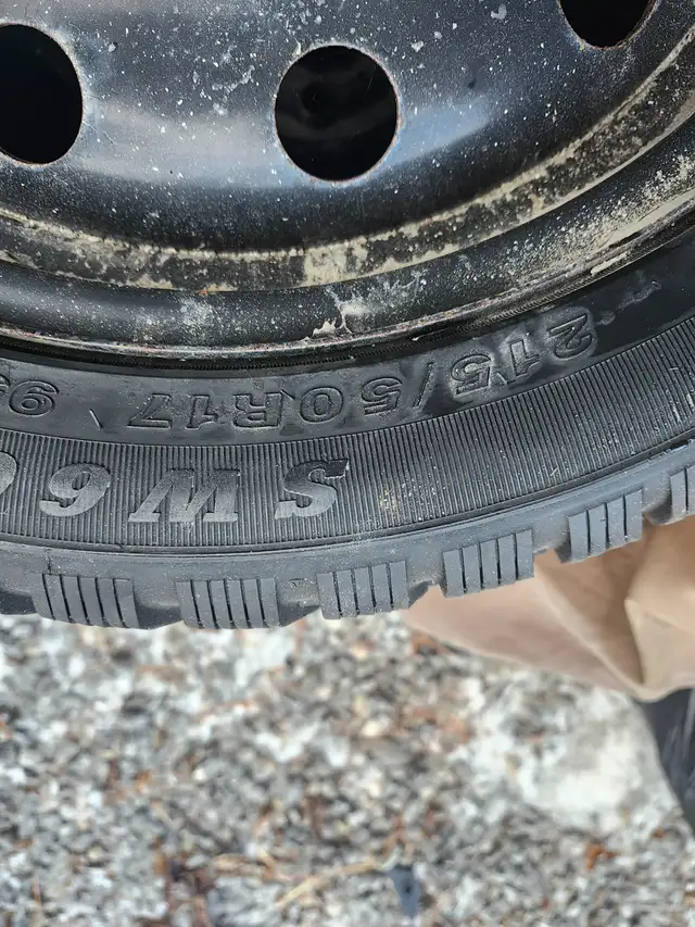 Winter tires on steel wheels, like new in Tires & Rims in Peterborough - Image 4