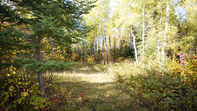0+1 Spruce Lake Road - Approx 70 acres of varying landscapes in Land for Sale in Kenora - Image 2