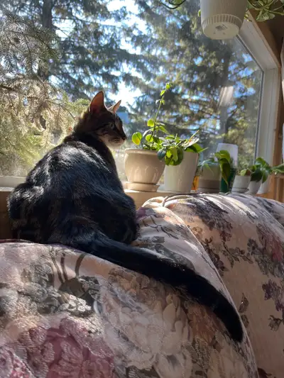 SUPER HUNTERS, View more