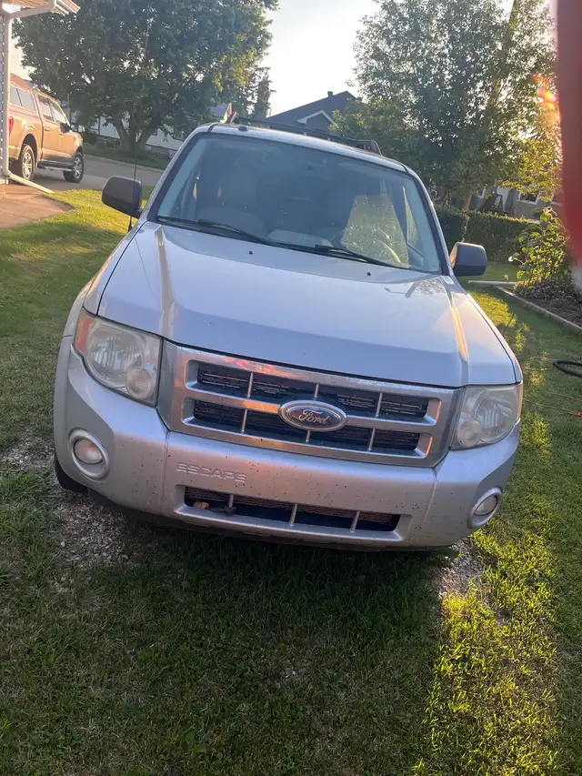 2008 Ford Escape540714156426547202