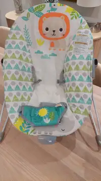 Infant  bouncer,  Vibrating soothing seat