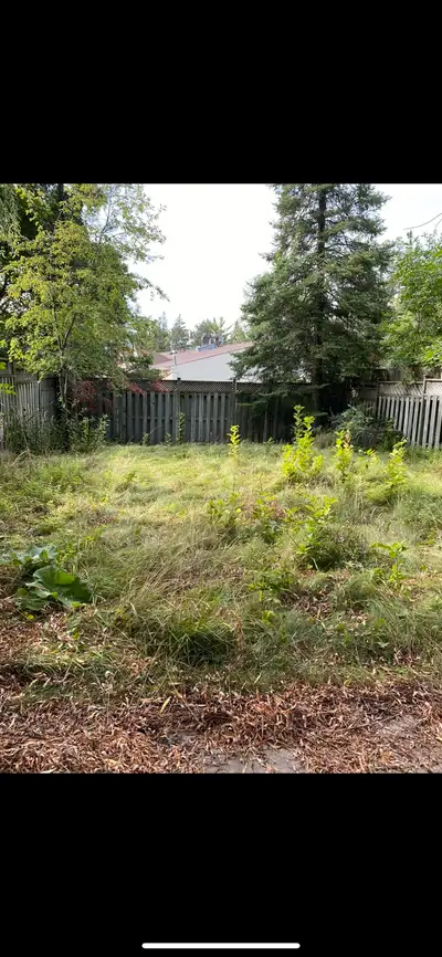 Is your lawn over for your own? Do you have weeds taking over your garden? Text me ag (647)-638-5060