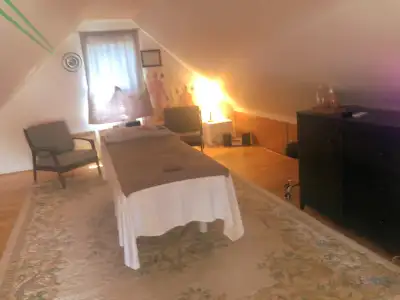 Shiatsu therapeutic massage (AMQ), View more