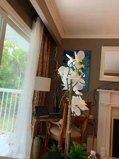 Caregiver Available , View more