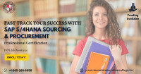 SAP Training | SAP S/4Hana Professional Certification