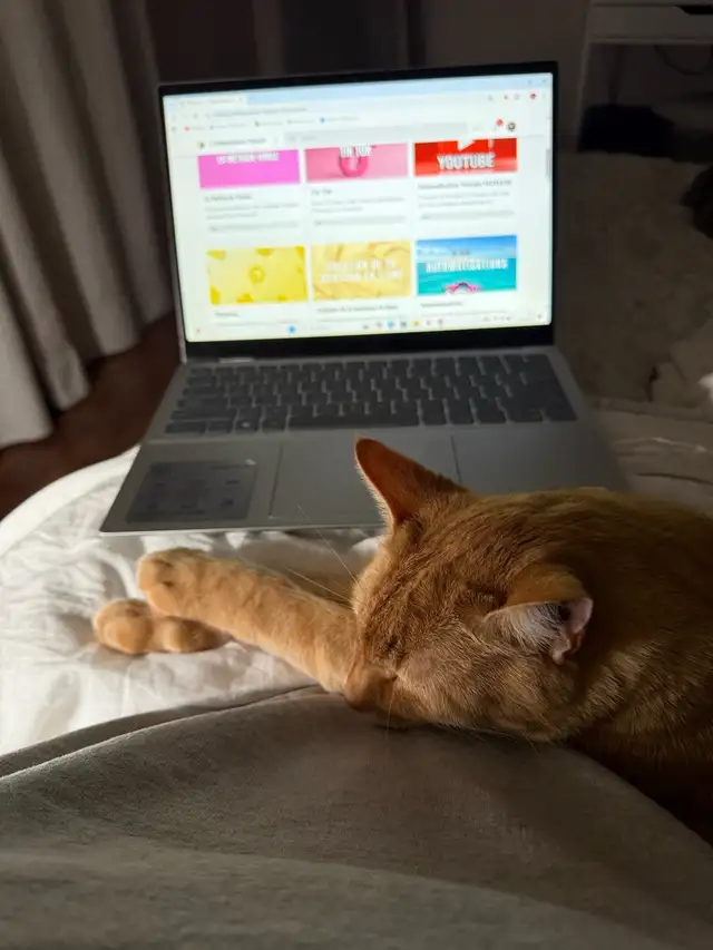 Courses and Lessons65491782773763120