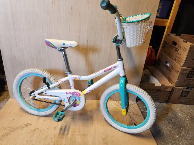 Girl's Training Bike and accessories in Kids in Ottawa - Image 2