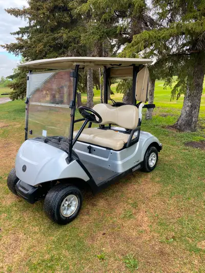 2018 gas golf cart (efi), View more