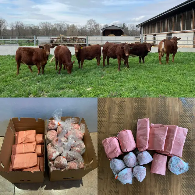 Freezer beef for sale in Other in Norfolk County - Image 2