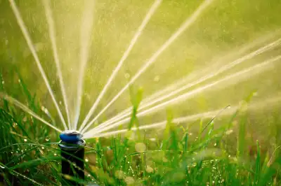 How do you water your lawn and gardens? If you have an existing system, I can come by to turn it on,...