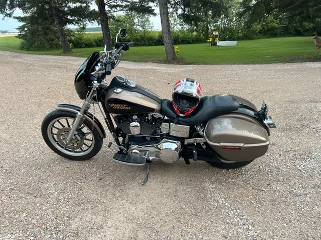2004 Harley FDHL in Street, Cruisers & Choppers in Winnipeg - Image 4