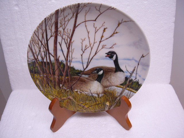 Vintage “Nesting” by Donald Pentz Collector’s Plate in Arts & Collectibles in Dartmouth