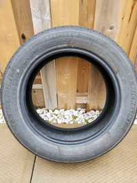 Michelin Tires 205/55 R16