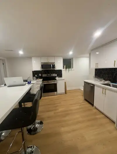 3 bed 1 bath new apartment Hamilton mountain