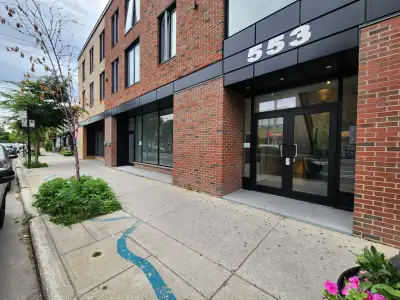 1 Bed 1 Bath