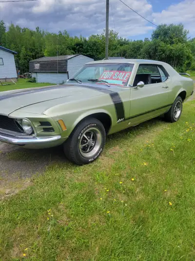 1970 mustang running project needs body work ect asking $15000 firm . I have extra parts that goes w...