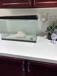 BRAND NEW Live sand and rock for aquarium/fish tank 