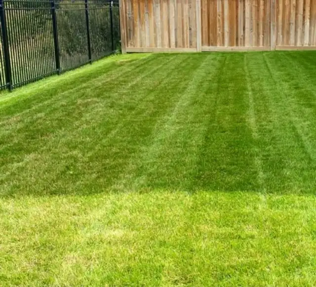 Grass cutting 502662490520954882