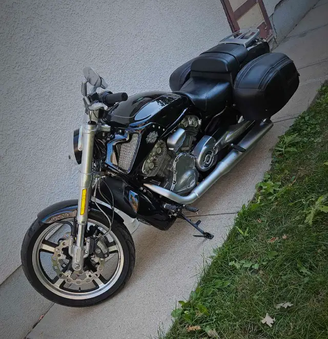 VROD Harley Davidson in Street, Cruisers & Choppers in Winnipeg - Image 4
