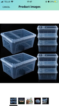 Plastic Critter Containers