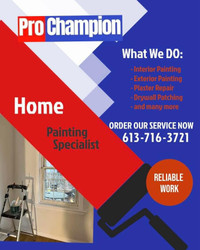 Professional Insured House Painter