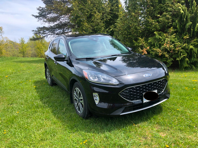 2021 Ford Escape Hybrid SEL in Cars & Trucks in Owen Sound