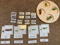 Montessori Grasshopper Life Cycle Set