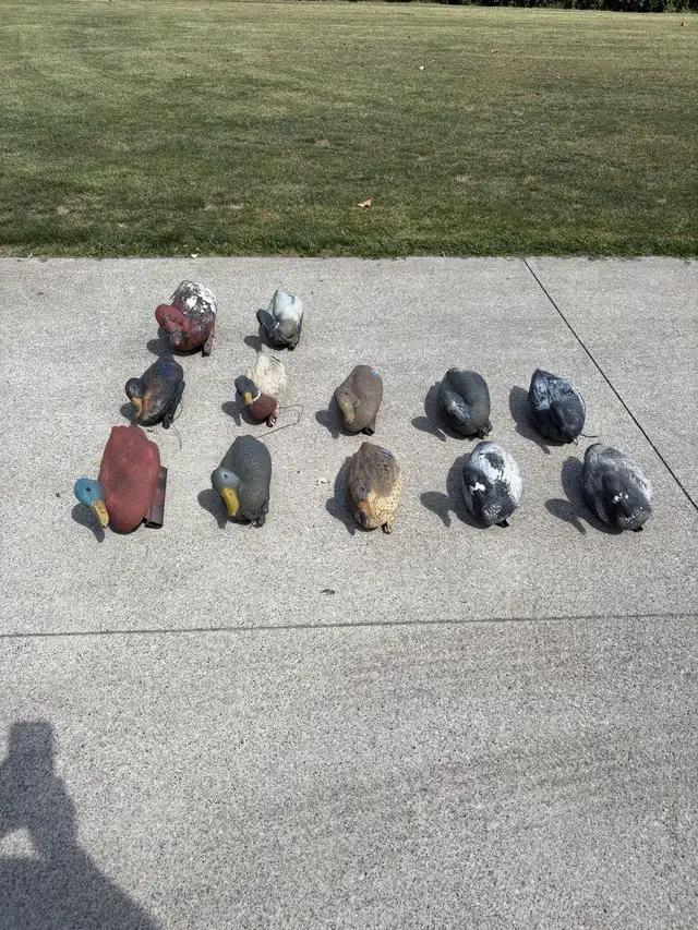 floating decoys duck in Fishing, Camping & Outdoors in Windsor Region - Image 3