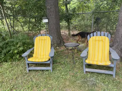 Muskoka chairs and cushions, View more