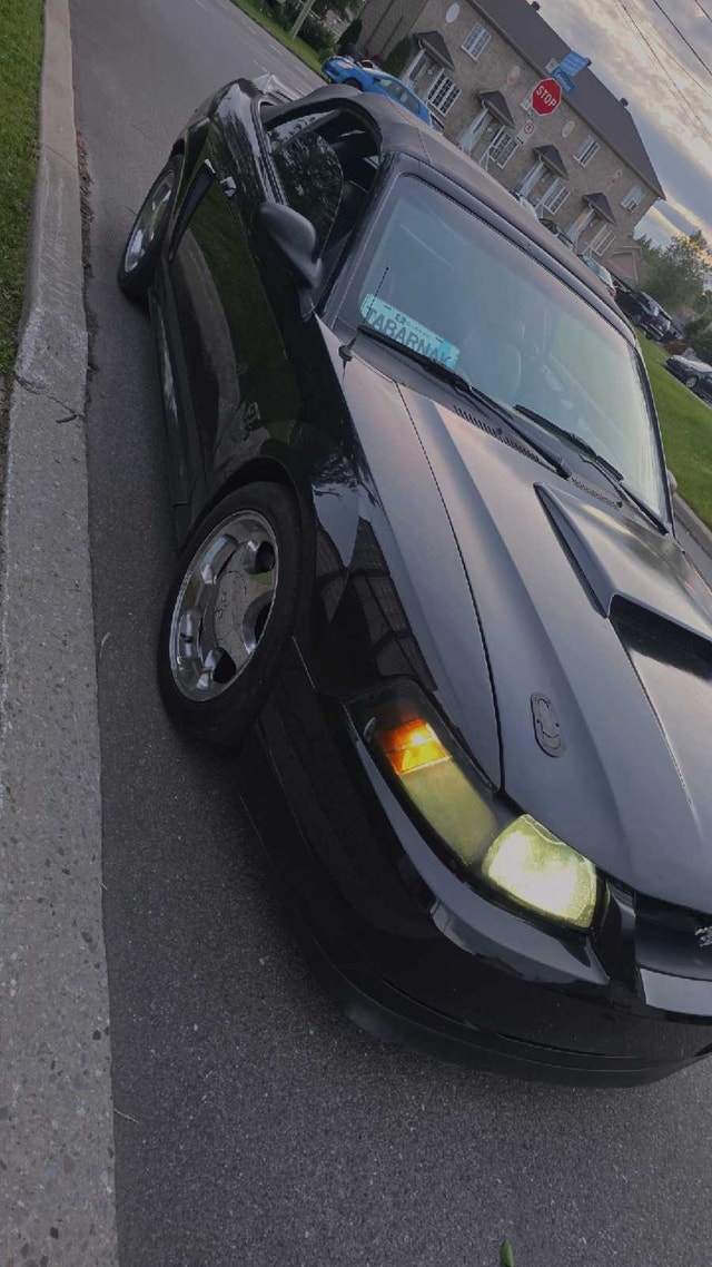 Mustang gt 2000 — photo 3
