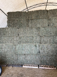 Hay For Sale 