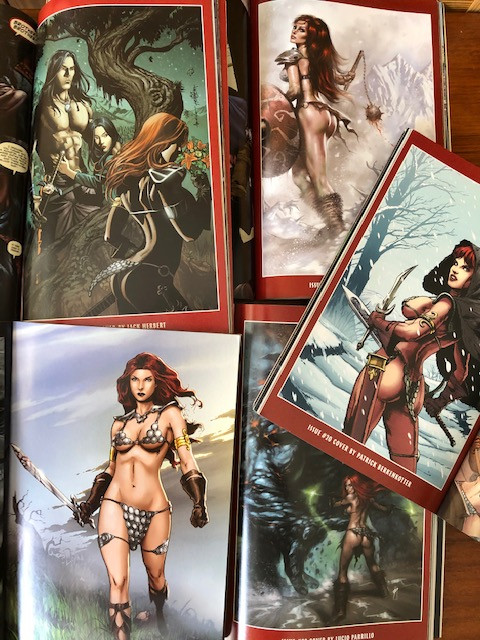 6 Queen Sonja Graphic Novels - Full Story Set - Vol 1,2,3,4, 5 6 in Comics & Graphic Novels in Delta/Surrey/Langley - Image 2