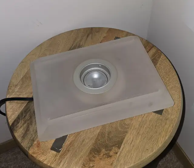 Exquisite Fish Lamp431543542811863046