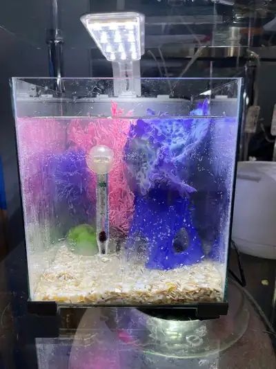 Top Fin Retreat Desktop Aquarium Kit 2.5  Gallon - Glass, View more