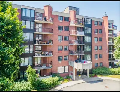 Superbe condo à louer offrant une belle luminosité grâce à une fenestration abondante, 2 chambres, a...