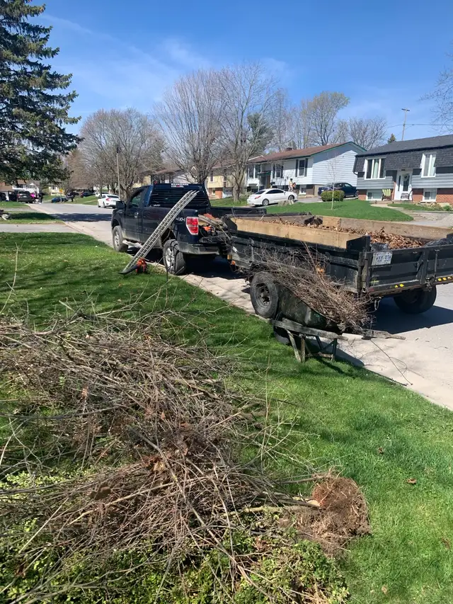 Garbage-Junk Removal in Other in Kingston - Image 7