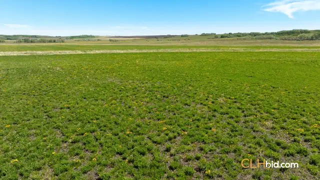 Land For Sale Diamond Valley, Alberta - CLHbid.com62863778970882123
