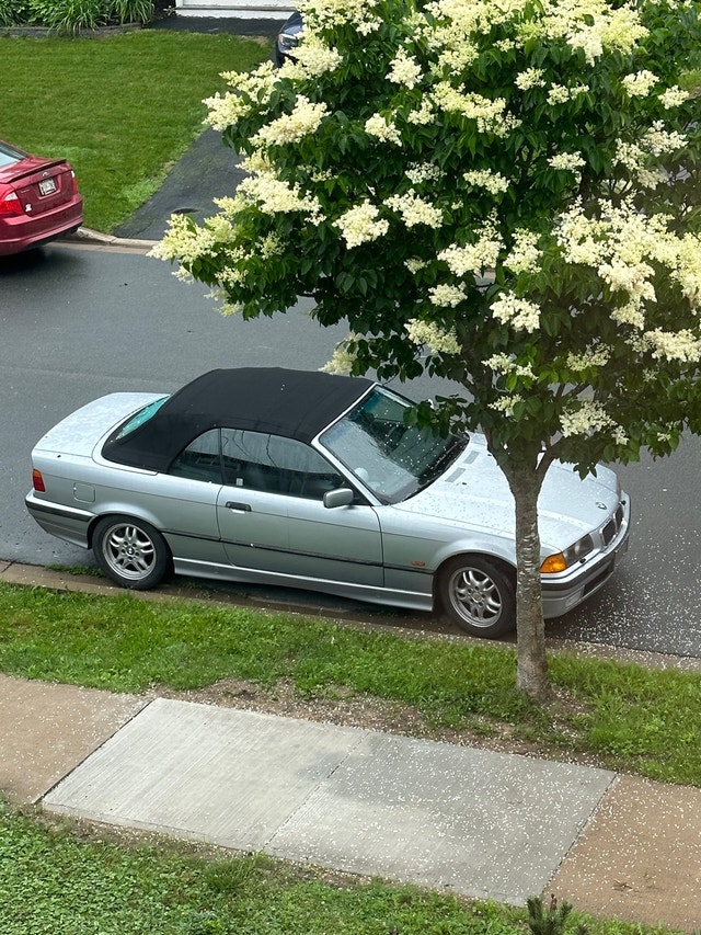 BMW 328i Convertible 1997 Classic Cars City of Halifax Kijiji