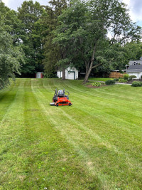 Grass mowing 